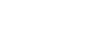 B.A.E.S.-Logo_White